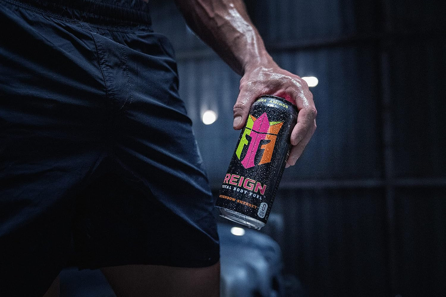 Total Body Fuel, bow Sherbet, Fitness & Performance Drink, 16 Fl Oz (Pack of 12)