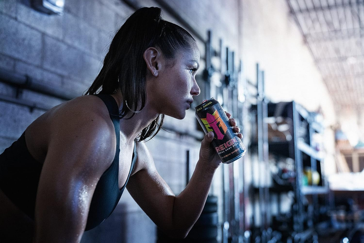Total Body Fuel, bow Sherbet, Fitness & Performance Drink, 16 Fl Oz (Pack of 12)