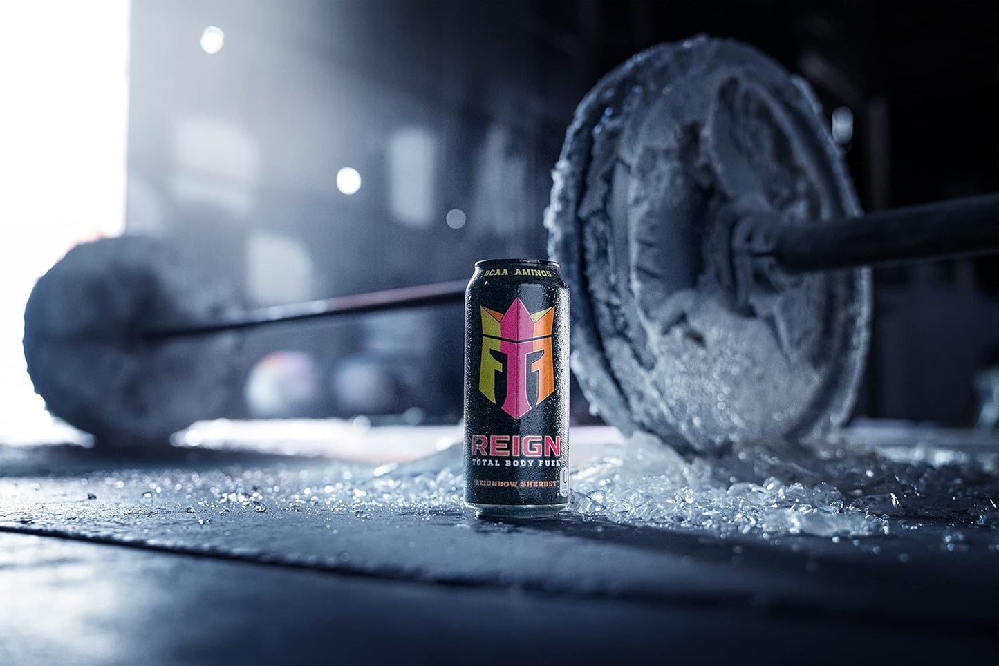 Total Body Fuel, bow Sherbet, Fitness & Performance Drink, 16 Fl Oz (Pack of 12)